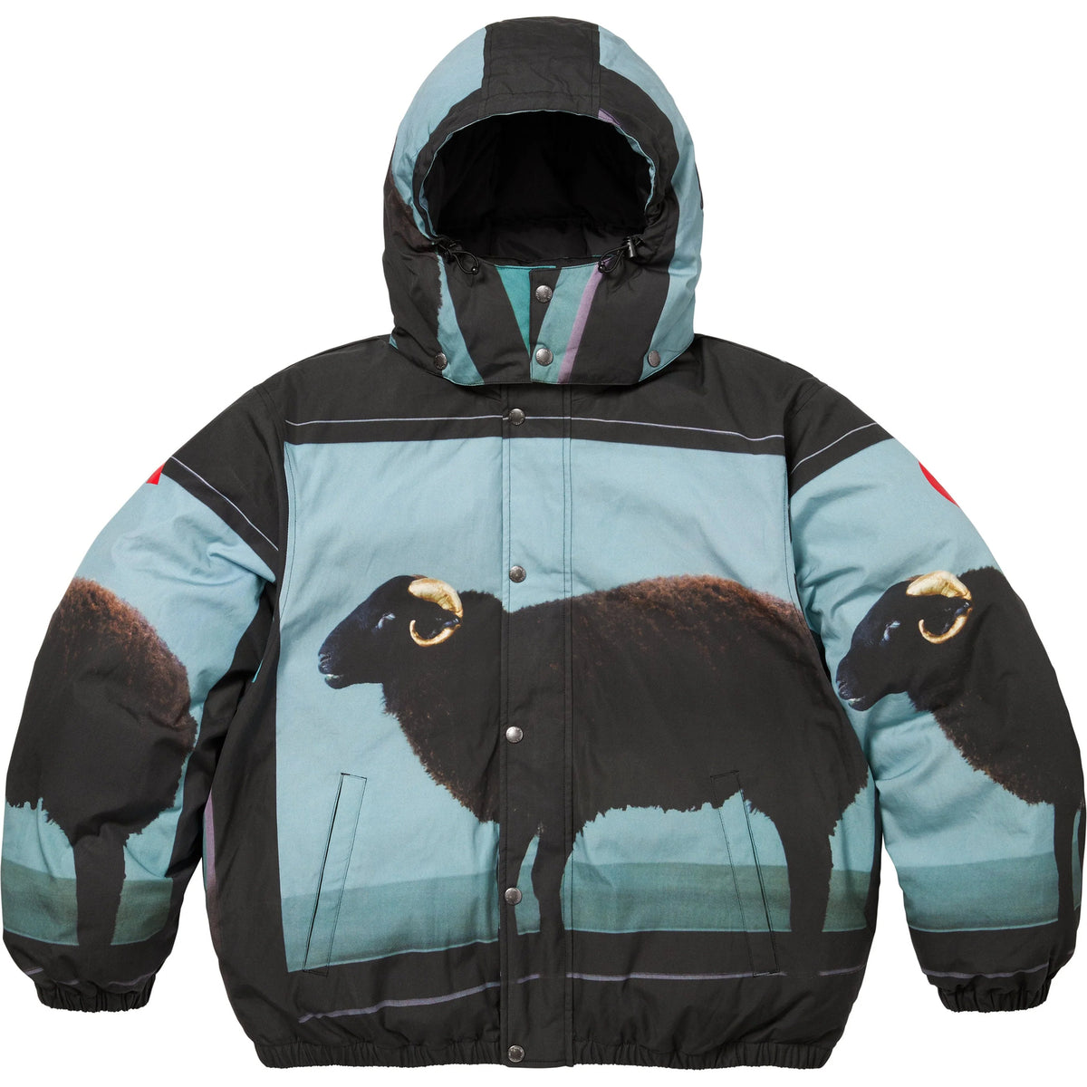 Supreme Damien Hirst Down Puffer Jacket Black