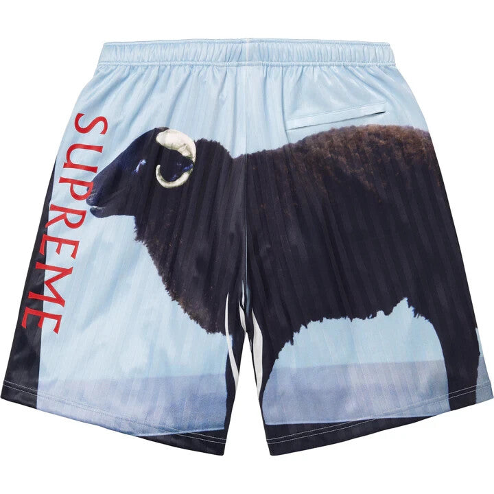 Supreme Damien Hirst Soccer Short Black