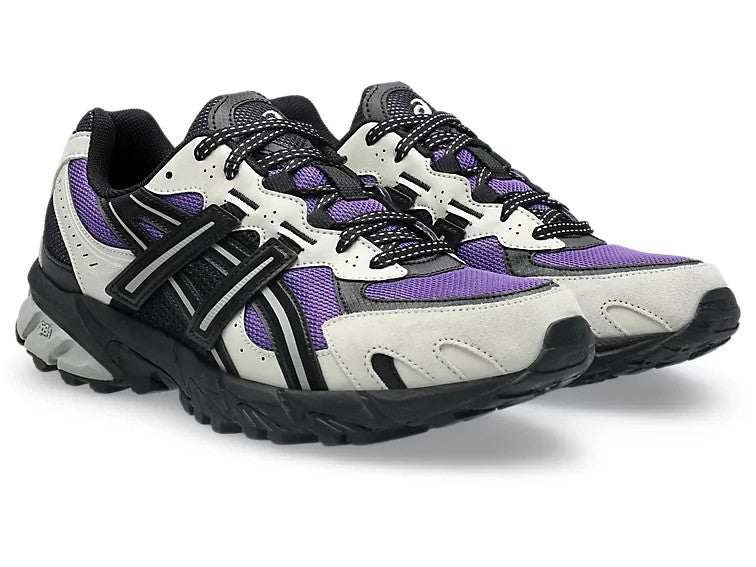 1203A734-500 Asics Gel-Sonoma TR62 "Edo Purple/Seal Grey" (Men's)