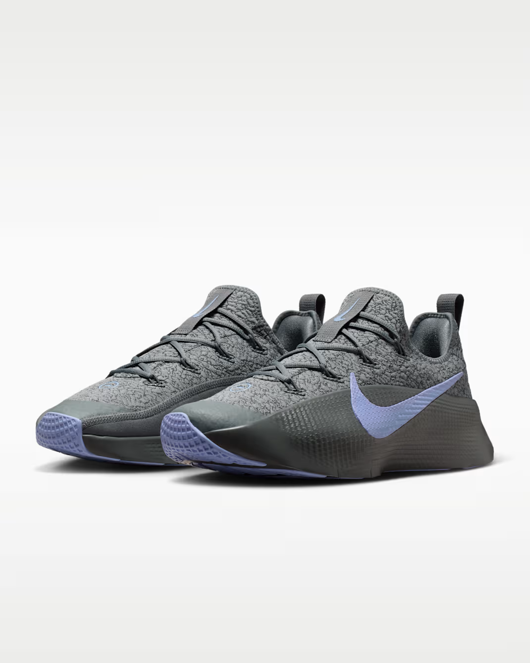 FJ6151-008 Nike LeBron TR1 Cool Grey Aluminum (Men's)