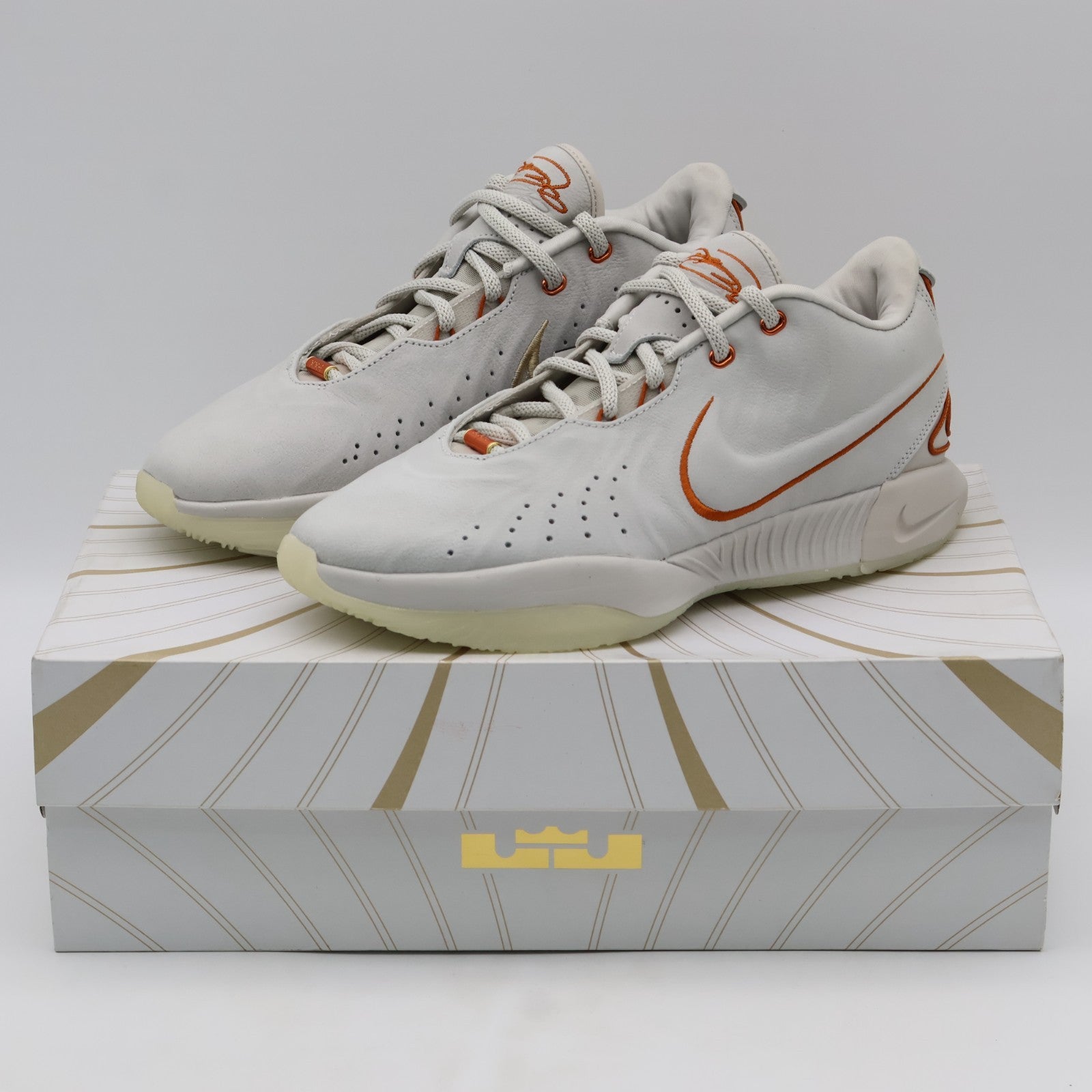 FV2345-001 Nike LeBron 21 Akoya (Men's)