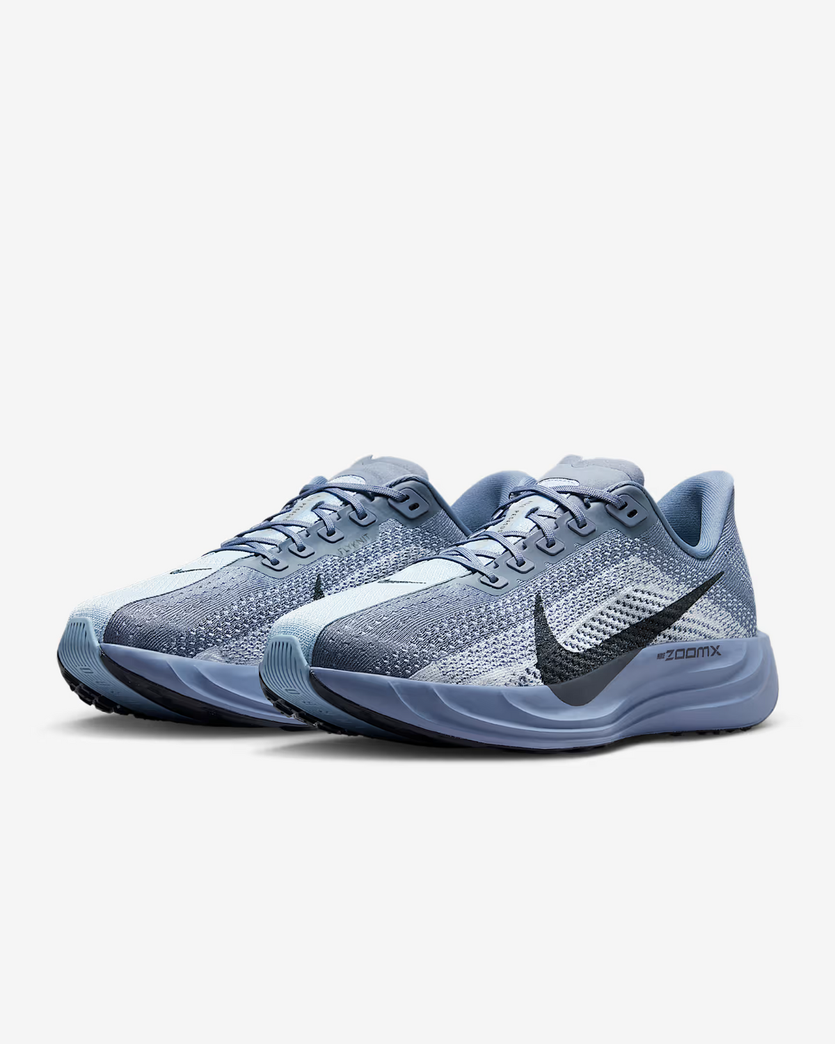 FQ7262-402 Nike Pegasus Plus Ashen Slate White Pure Platinum Anthracite (Men's)