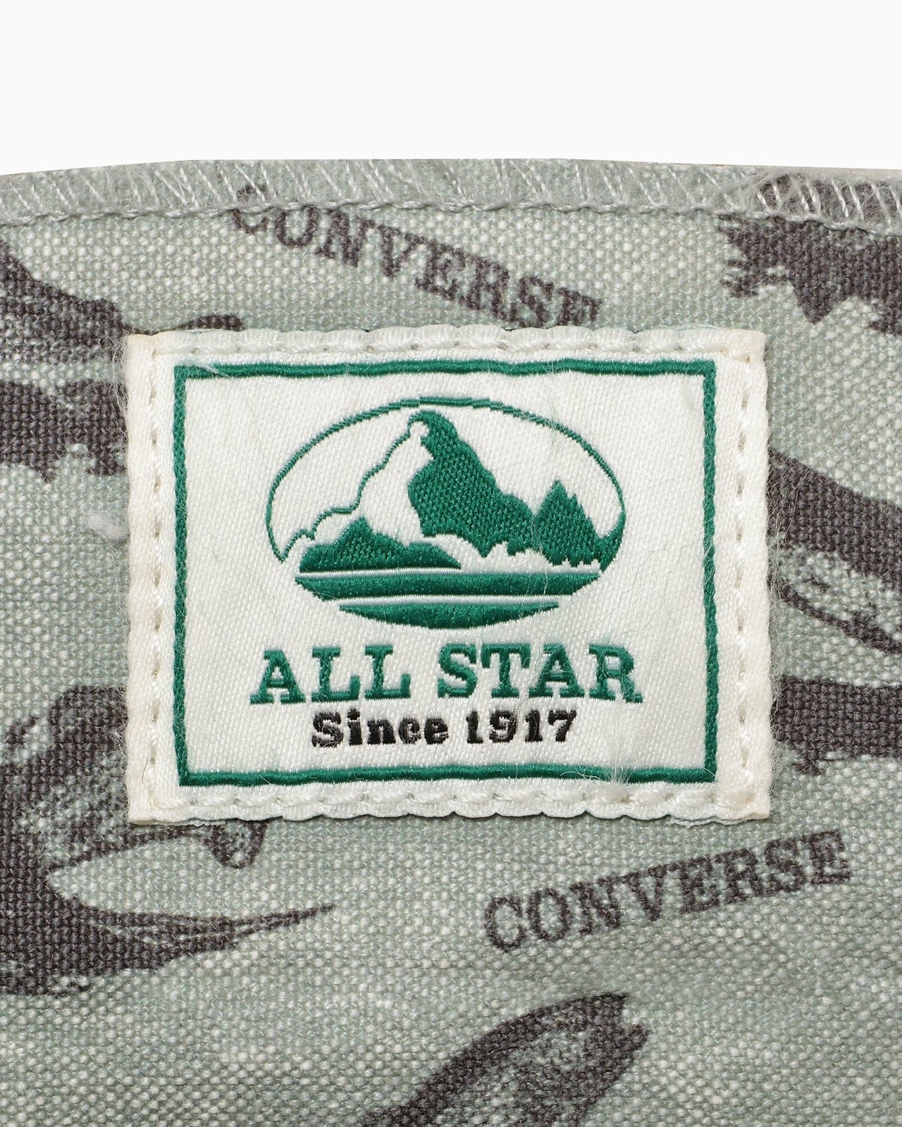 31312051 Converse All Star US Hunting Hi Trout (Men's)
