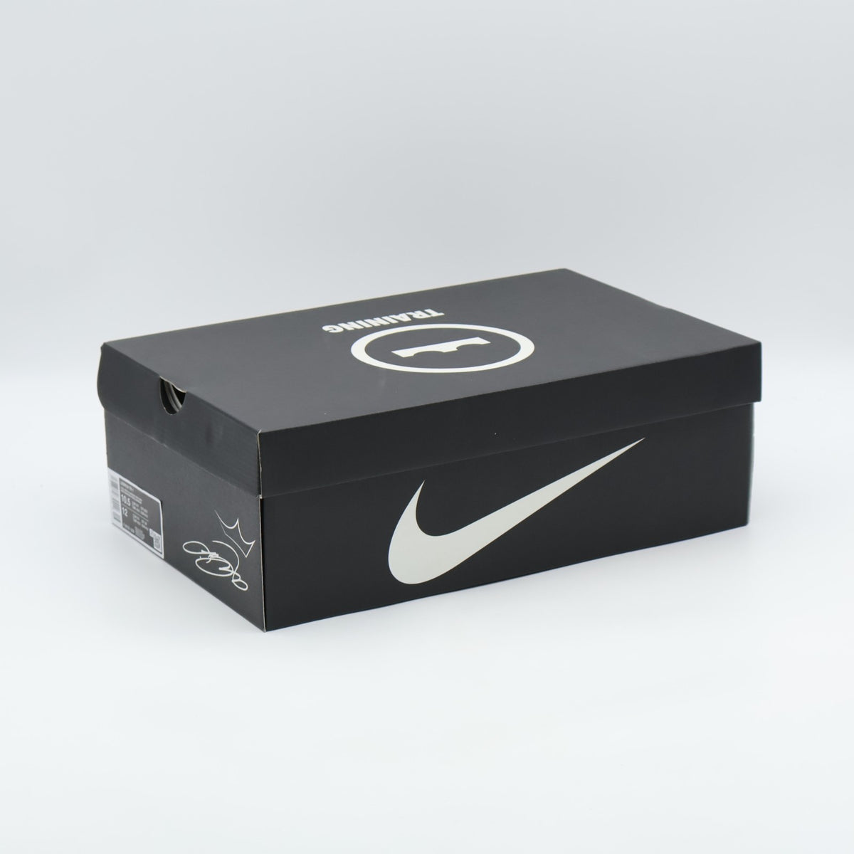 FJ6151-008 Nike LeBron TR1 Cool Grey Aluminum (Men's)