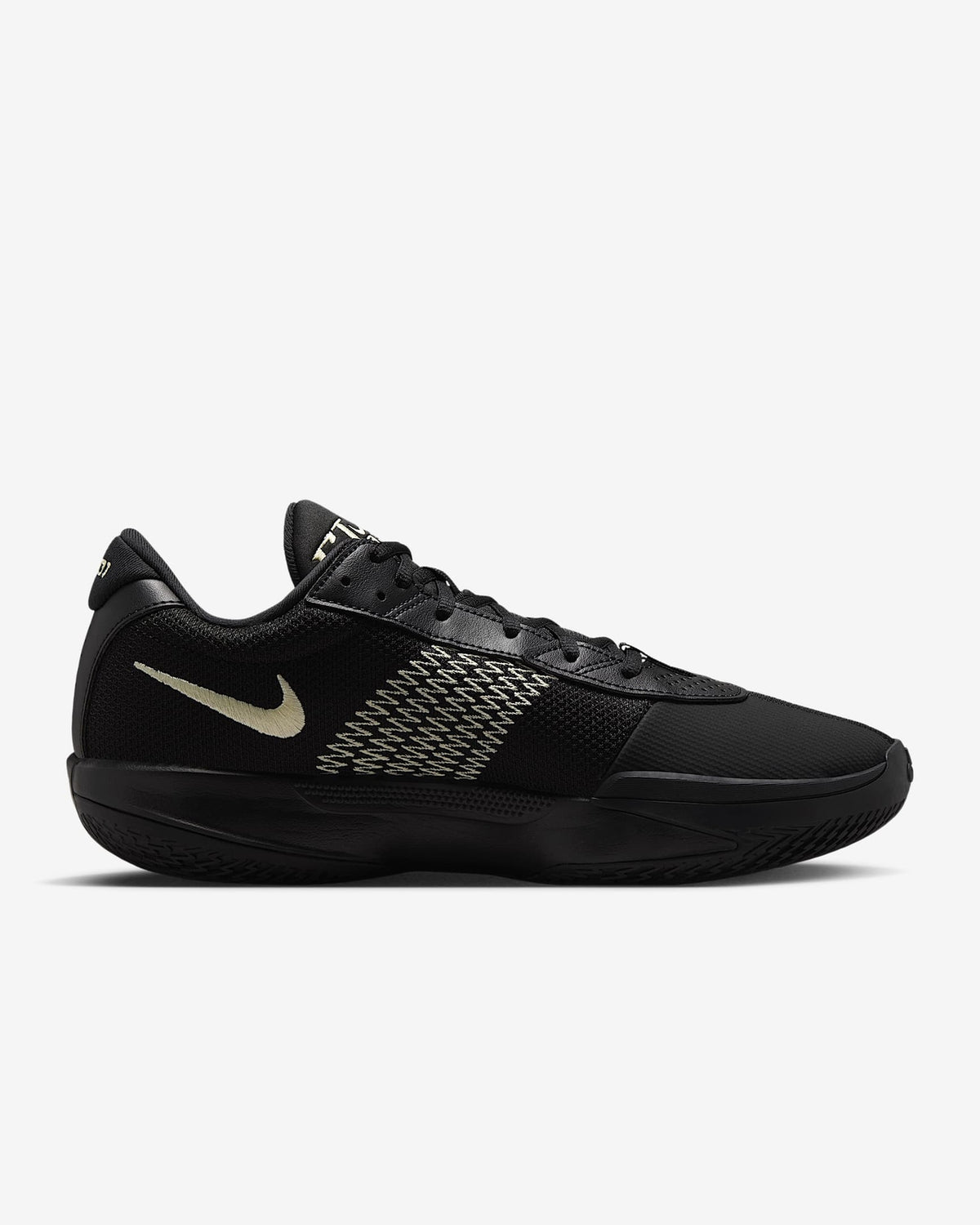 FB2598-011 Nike Air Zoom GT Cut Academy Black Alabaster Black (Men's)