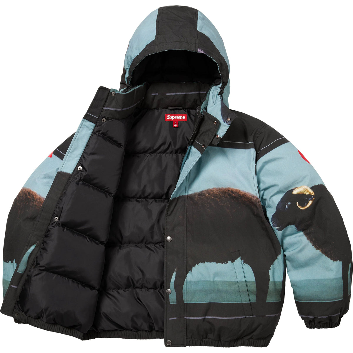 Supreme Damien Hirst Down Puffer Jacket Black