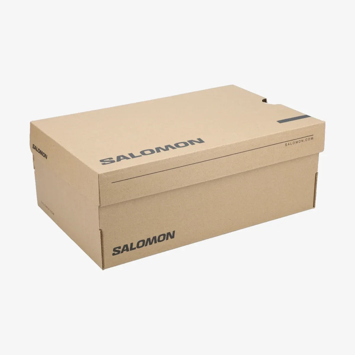 L49212000 Salomon XT-6 (Men's)