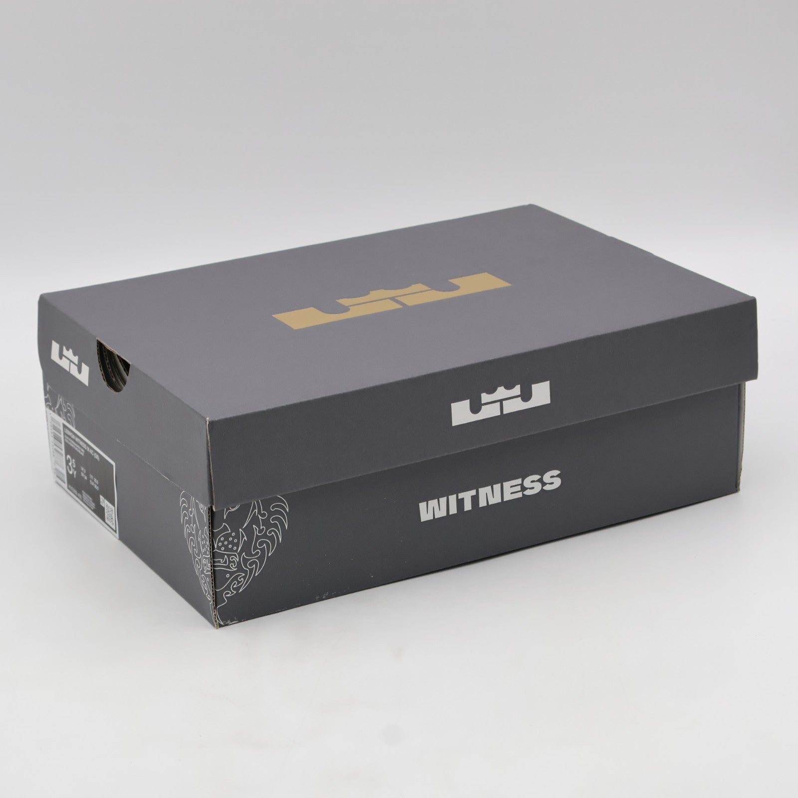 HV2269-400 Nike GS LeBron Witness 9 King Of The Court