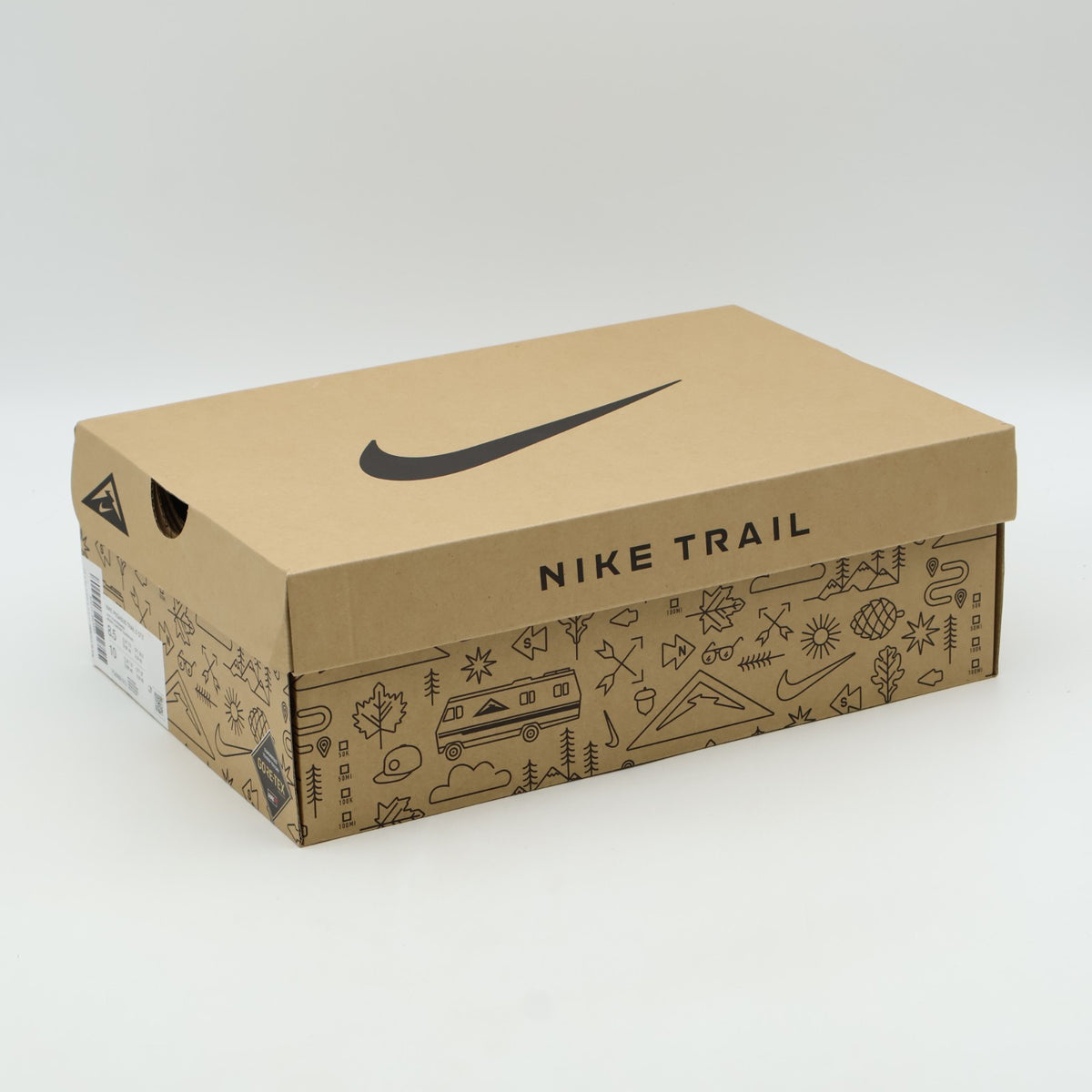 FQ0908-013 Nike Pegasus Trail 5 GORE-TEX Light Silver Clay Green Mint Foam (Men'
