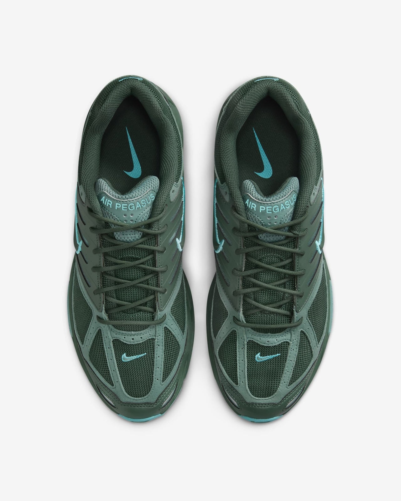 FZ7354-300 Nike Air Pegasus 2K5 Fir Bicoastal Dusty Cactus (Men's)