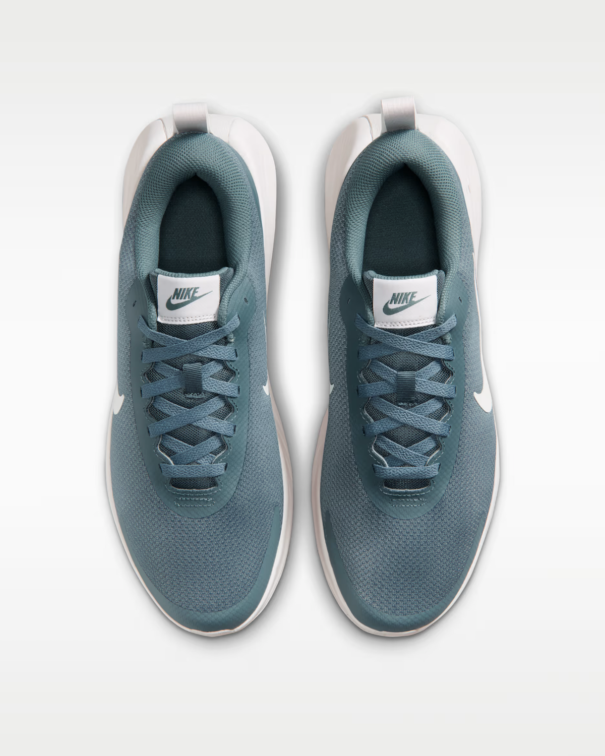 FV5285-302 Nike Promina "Mineral Slate/Black" (Men's)