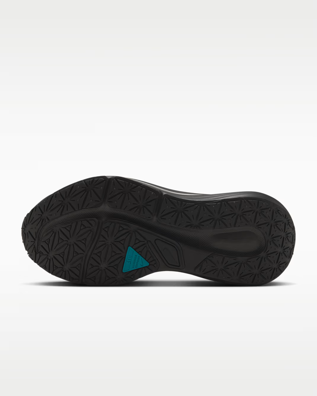 IO7953-002 Nike Winflo 12 GORE-TEX "Anthracite/Black" (Men's)