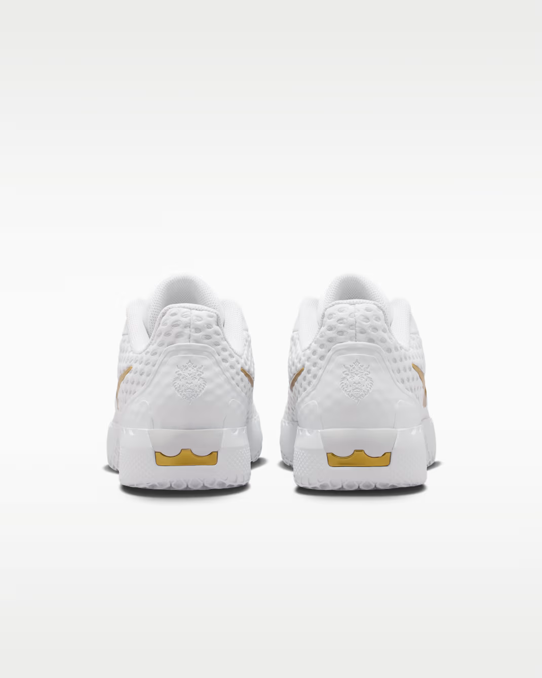 IQ9845-100 Nike LeBron Witness X EP "White/Photon Dust" (Men's)
