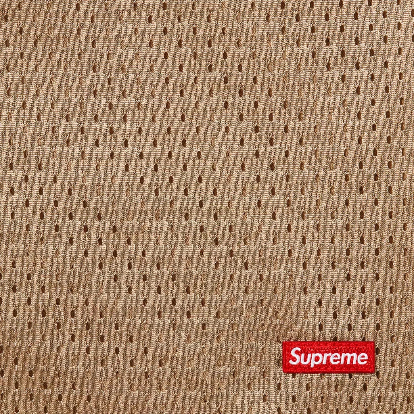 Supreme Small Box Baggy Mesh Short Tan