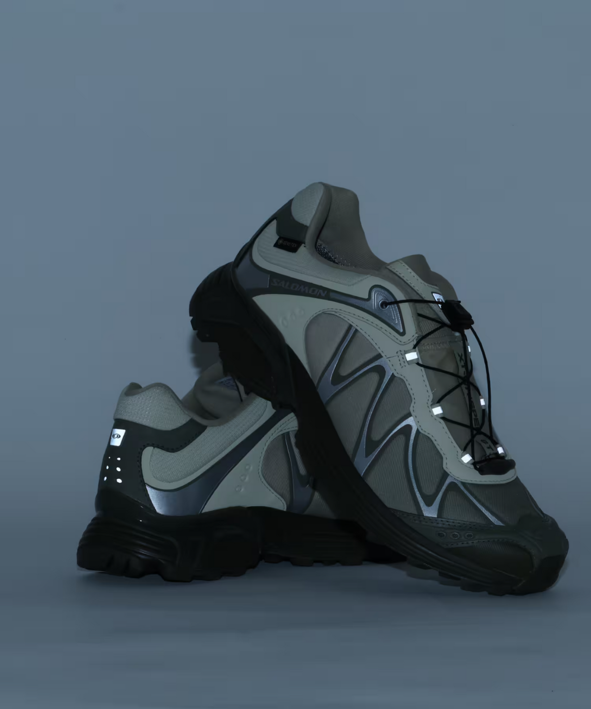 L45397600 SALOMON XT-WHISPER GTX (Men's)