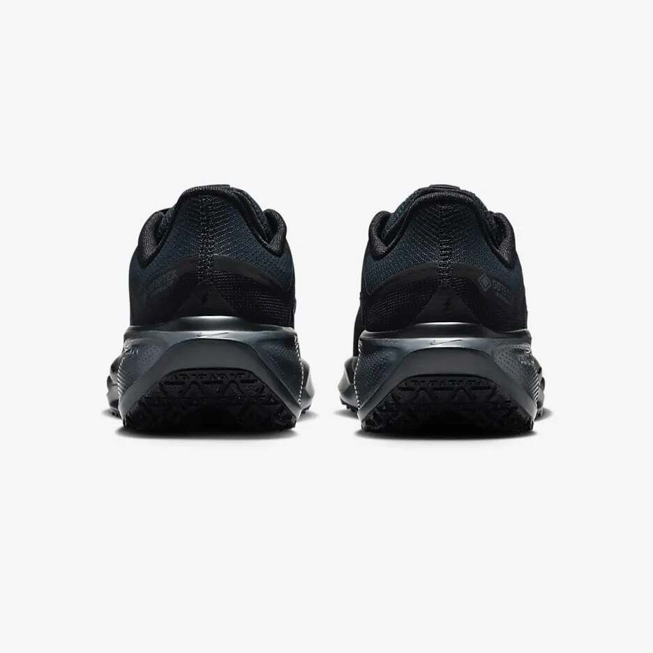 FQ1357-001 Nike Pegasus 41 GORE-TEX Black Anthracite (Women's)