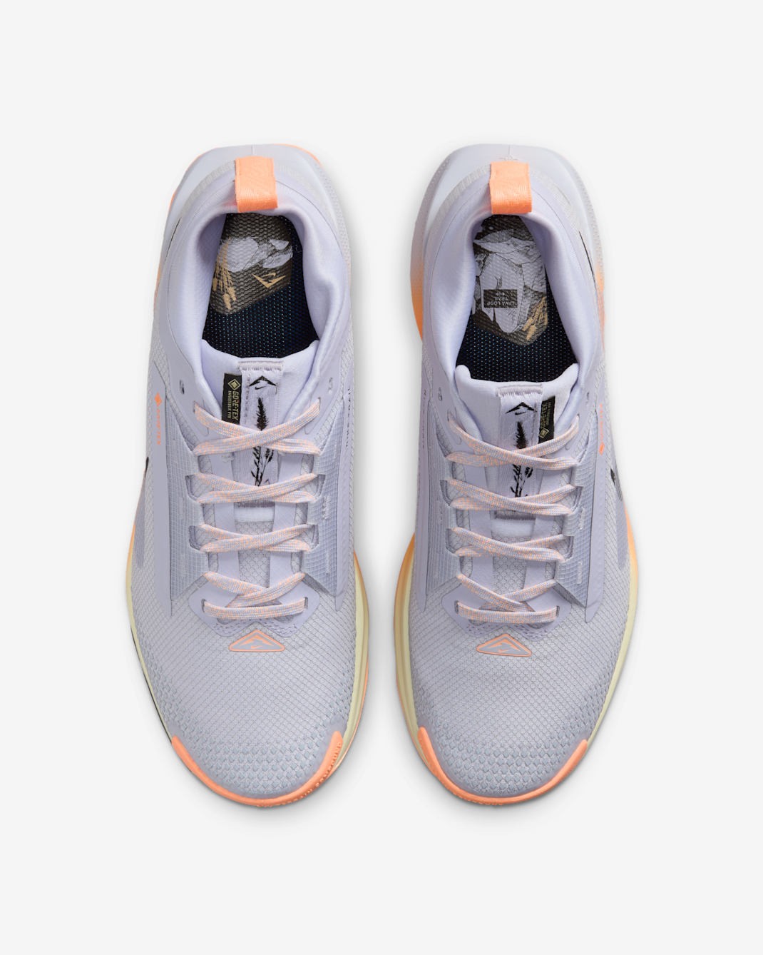 FQ0912-011 Nike Pegasus Trail 5 GORE-TEX Ghost Malt OrangePulse Black ( Women's)