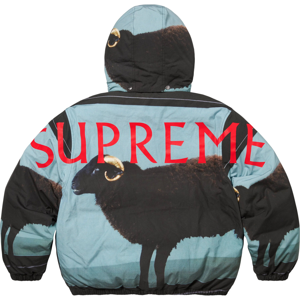 Supreme Damien Hirst Down Puffer Jacket Black