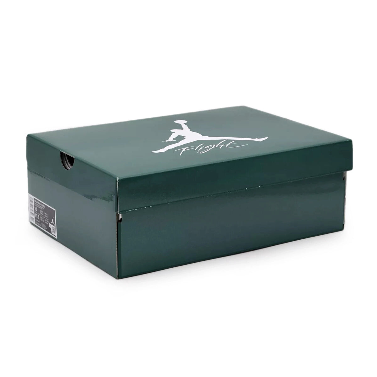 FQ8138-103 Nike Air Jordan 4 Retro Oxidized Green (Men's)