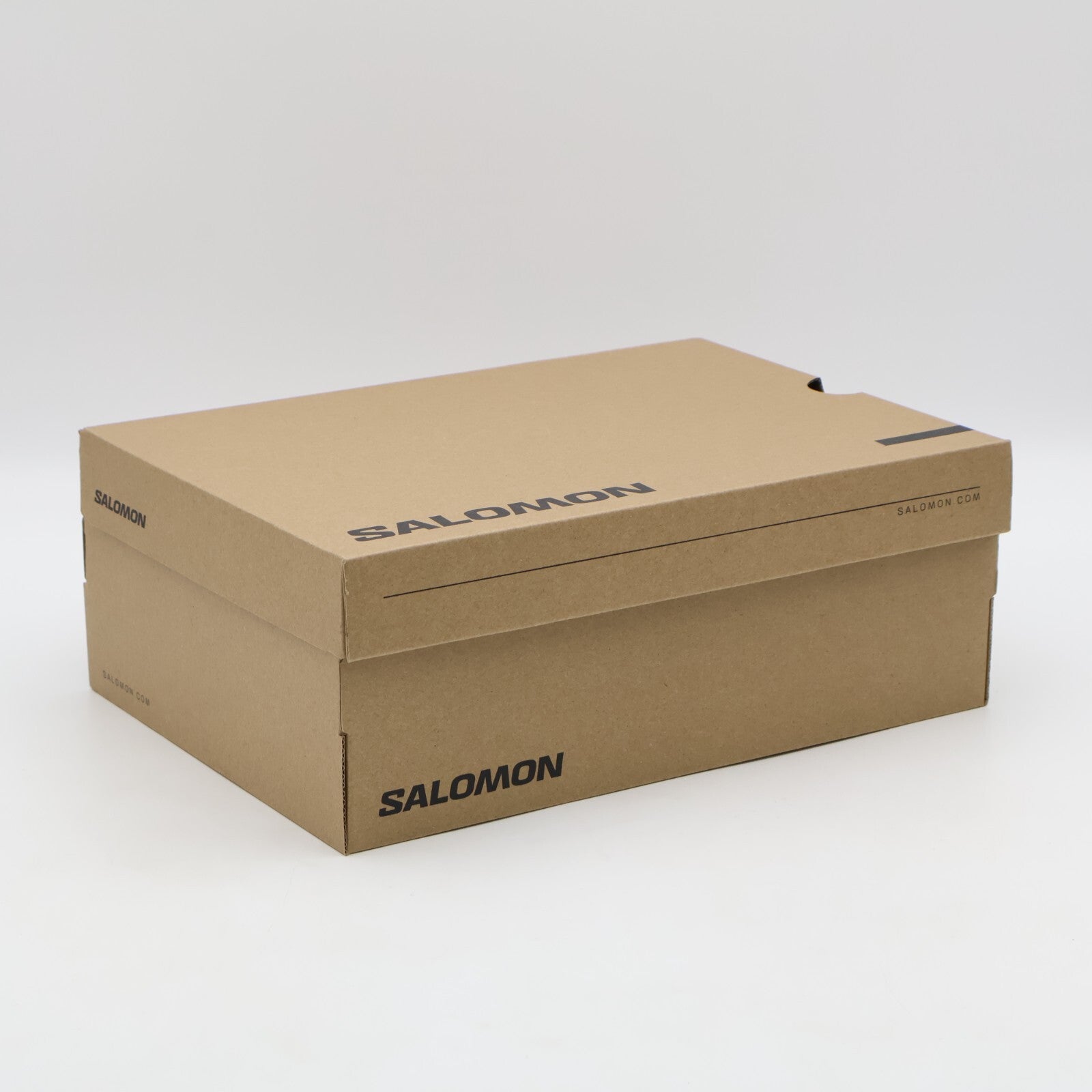 L47581200 Salomon XT-6 GORE-TEX Almond Milk Feather Gray Pale Mauve (Men's)