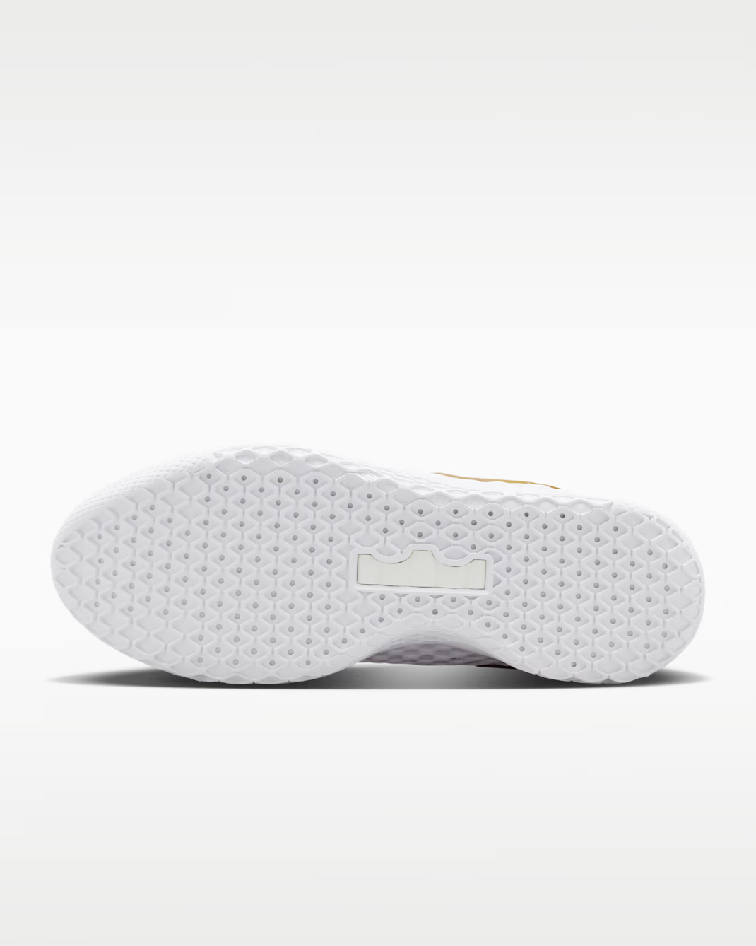 IQ9845-100 Nike LeBron Witness X EP "White/Photon Dust" (Men's)