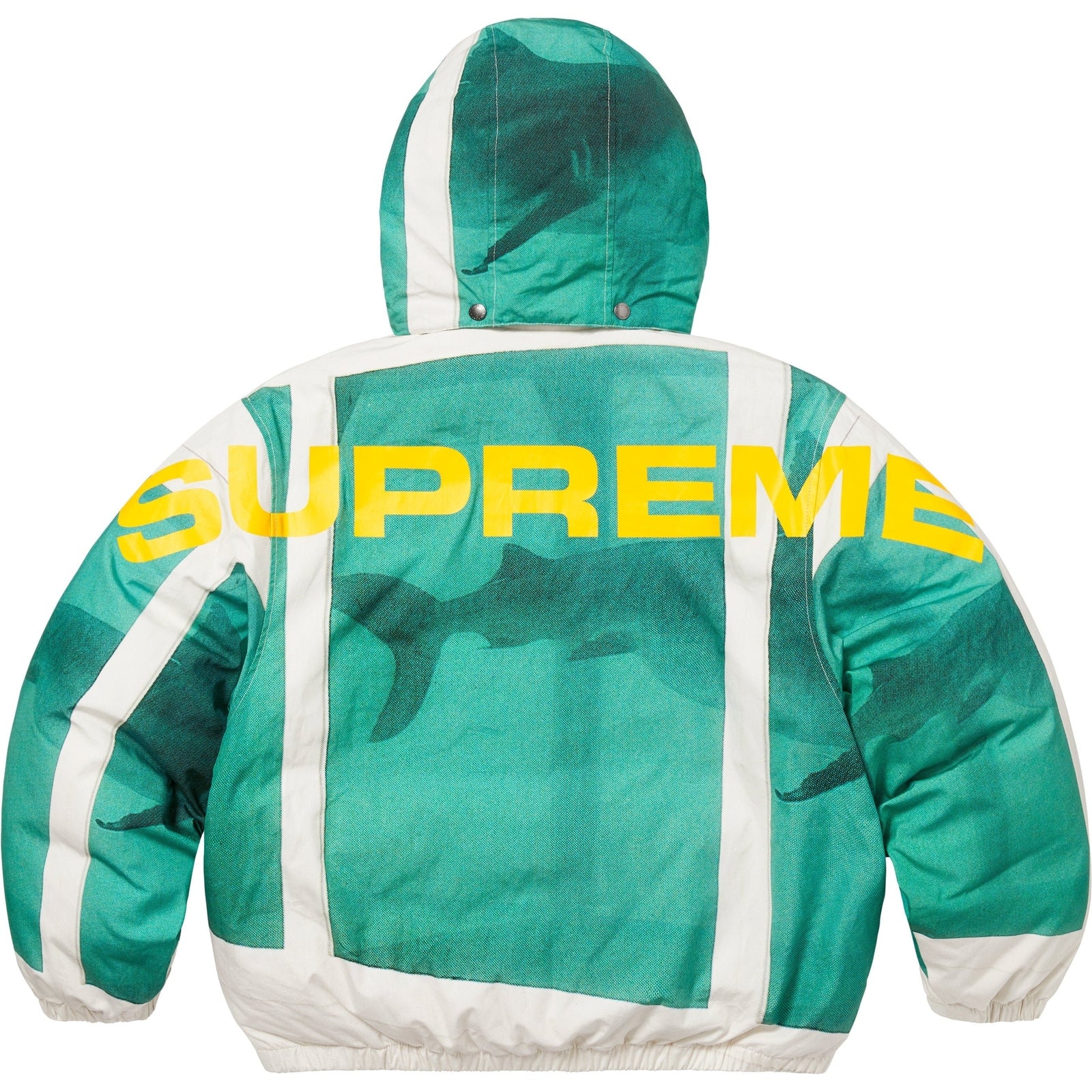Supreme Damien Hirst Down Puffer Jacket White
