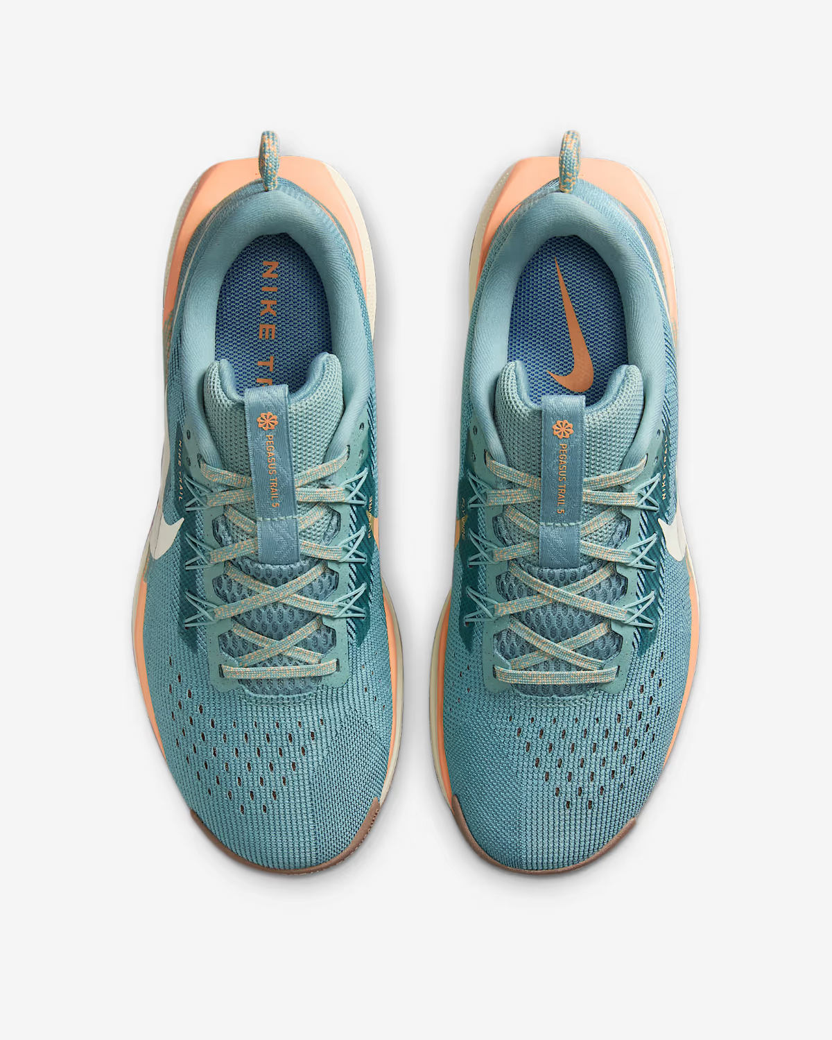 DV3865-010 Nike Pegasus Trail 5 Cannon Mink Brown Orange Chalk Soft (Women's)