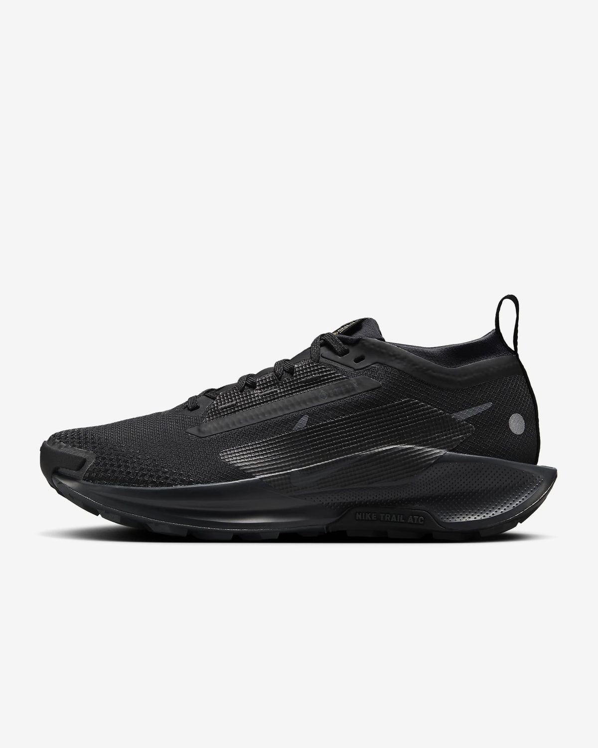 FQ0912-002 Nike Pegasus Trail 5 GORE-TEX Black Anthracite (Women's)