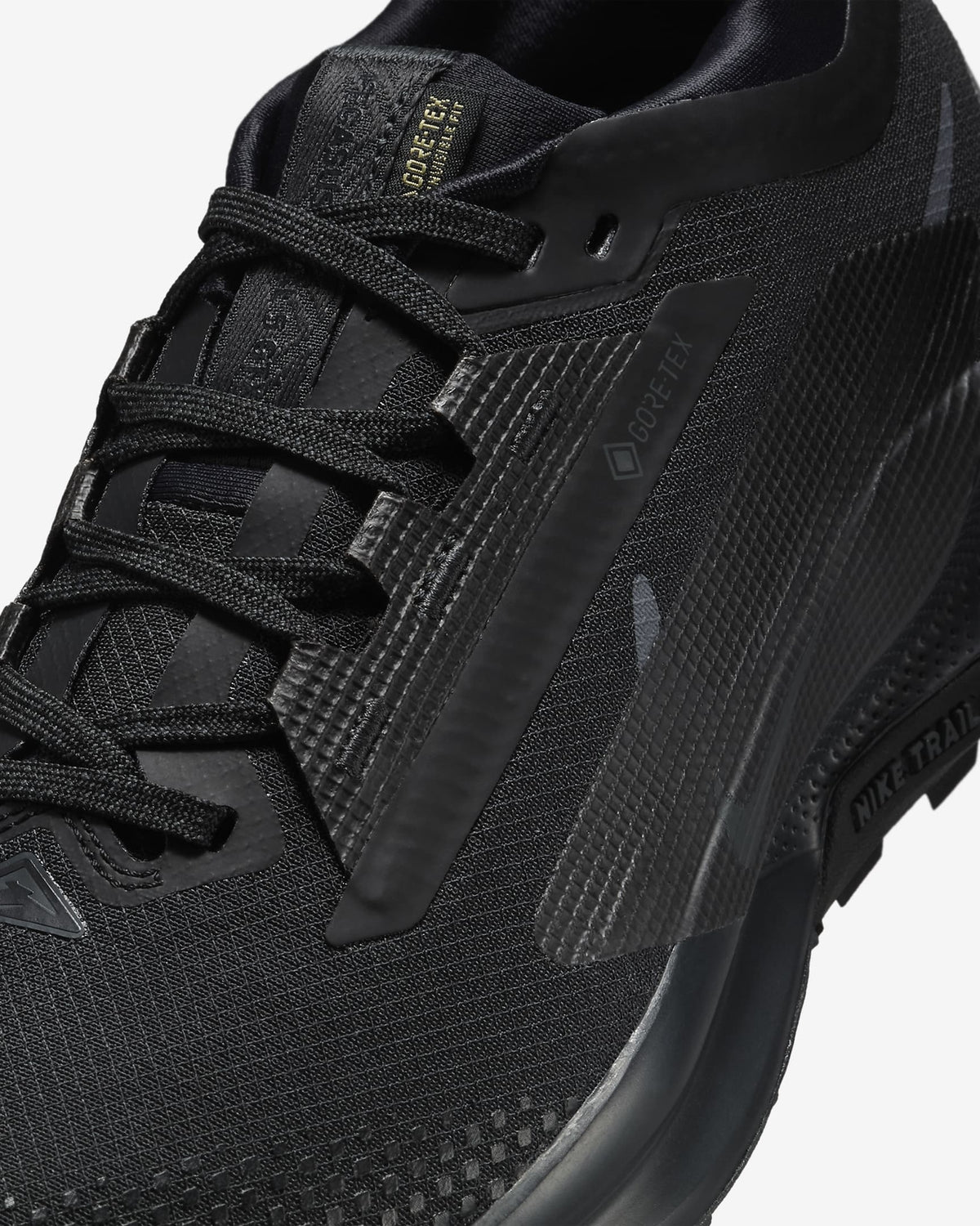 FQ0912-002 Nike Pegasus Trail 5 GORE-TEX Black Anthracite (Women's)
