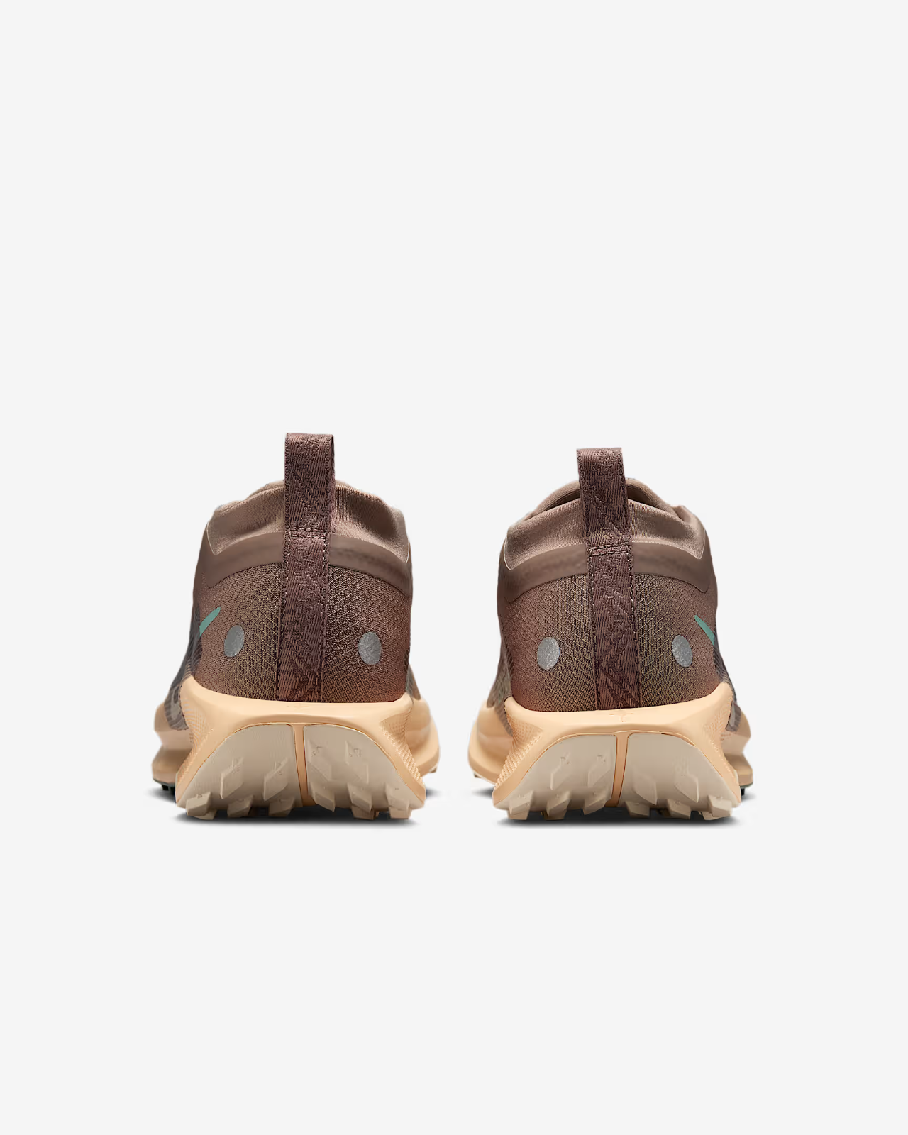FQ0912-200 Nike Pegasus Trail 5 GORE-TEX Mink Brown Orange Chalk Pearl (Women's)