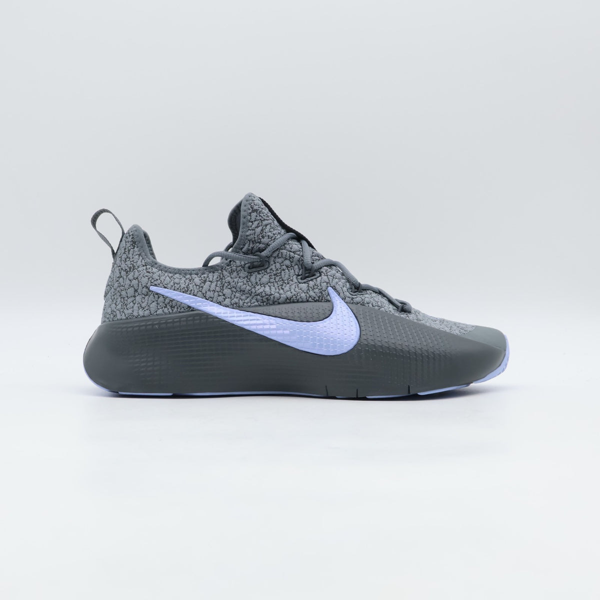 FJ6151-008 Nike LeBron TR1 Cool Grey Aluminum (Men's)