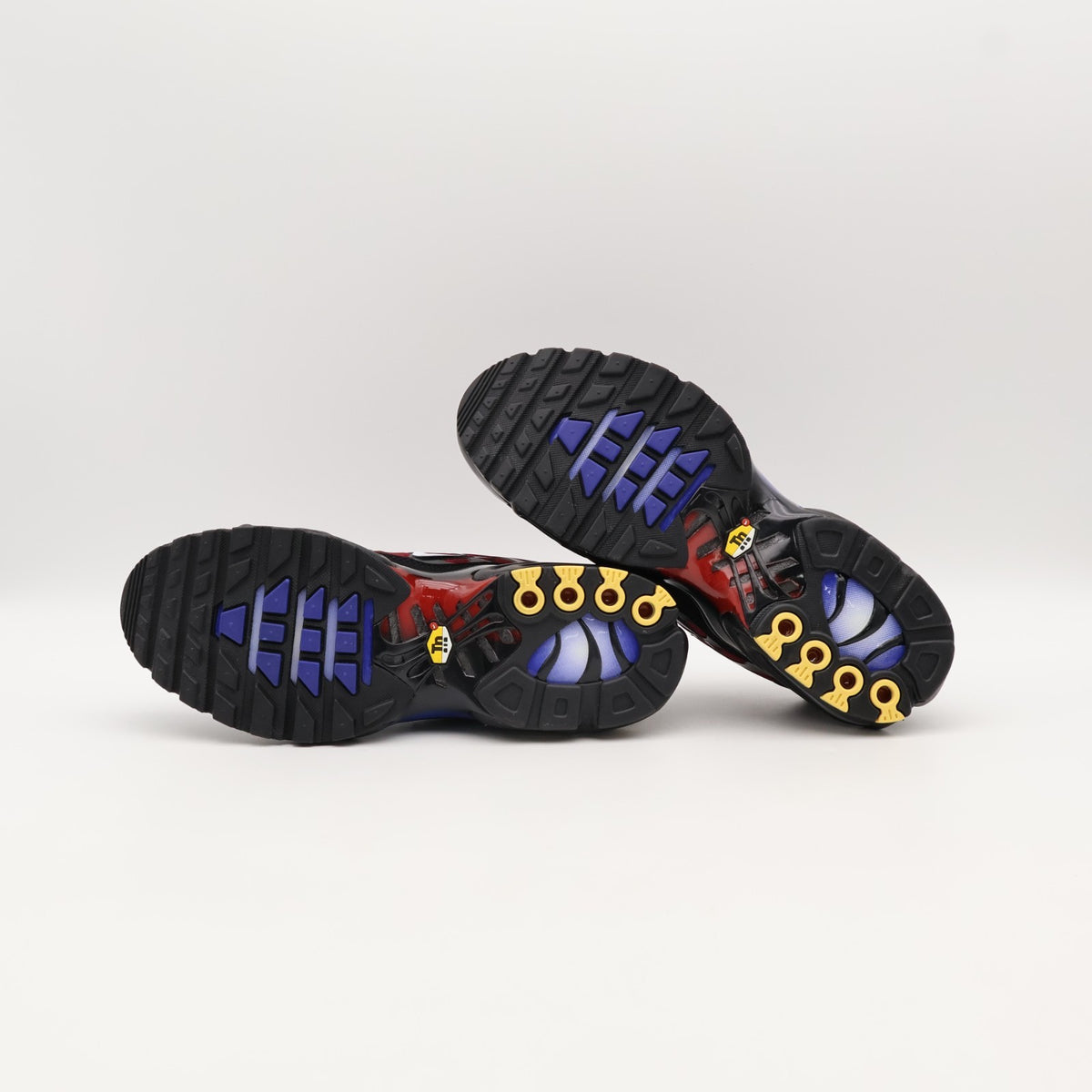 FV0393-001 Nike Air Max Plus 25th Anniversary (Men's)