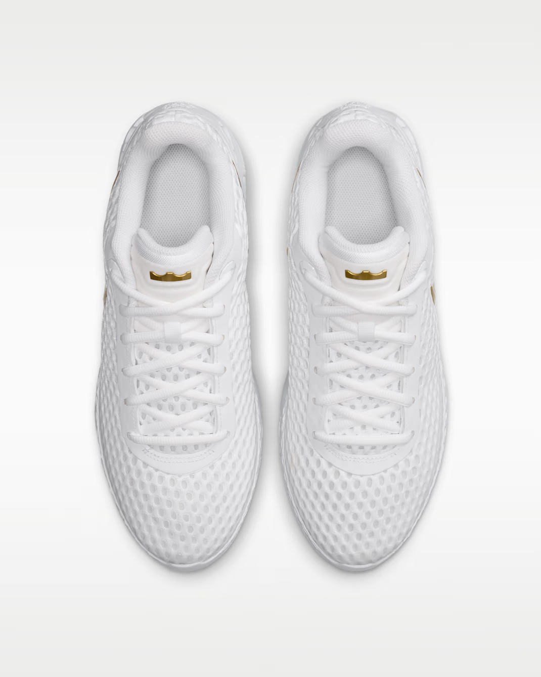 IQ9845-100 Nike LeBron Witness X EP "White/Photon Dust" (Men's)