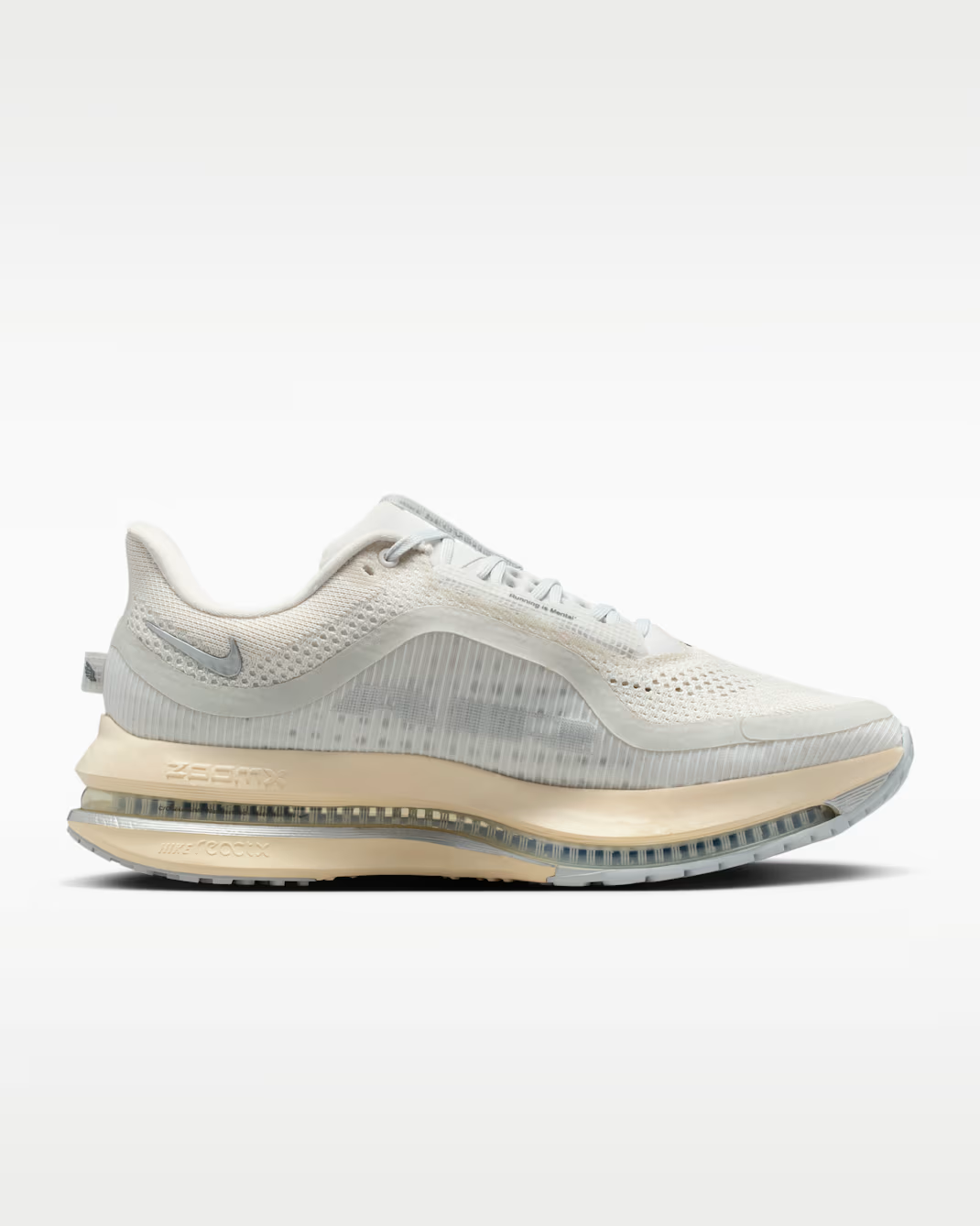 IQ0307-094 Nike Pegasus Premium Running is Mental (Men's)