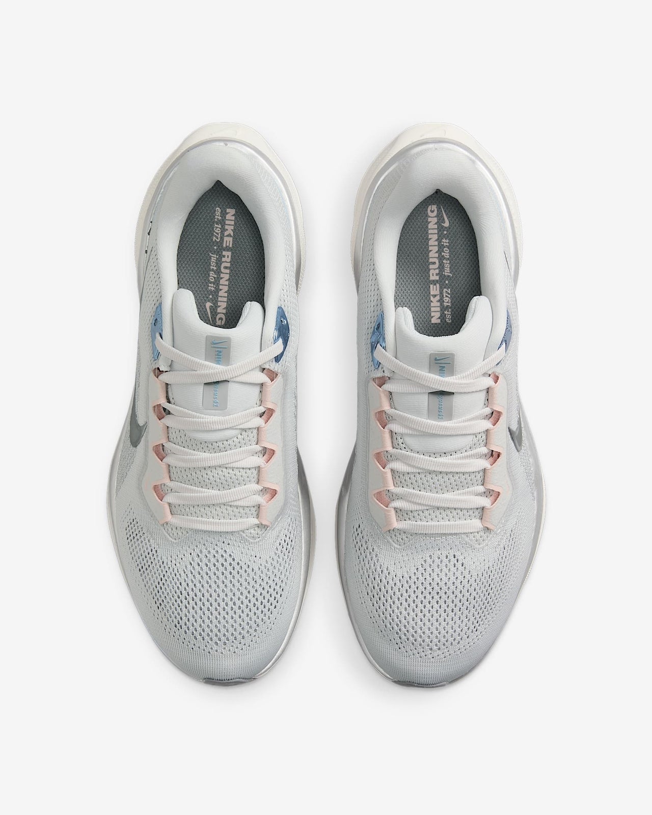 FD2723-007 Nike Pegasus 41 Photon Dust Sail Echo Pink Metallic Pewter (Women's)
