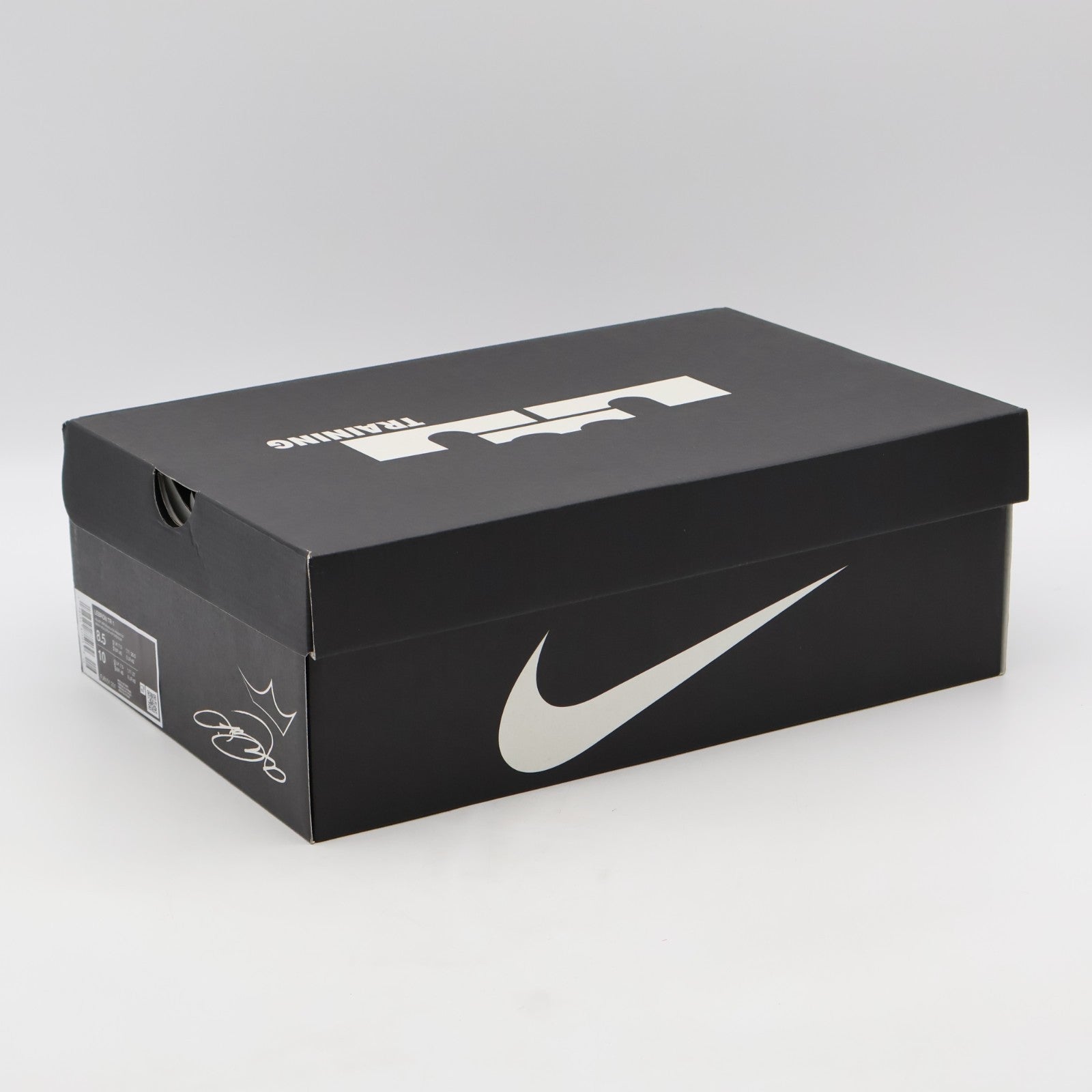 FJ6151-201 Nike LeBron TR1 Velvet Brown Phantom Black (Men's)