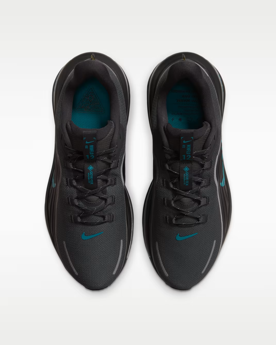 IO7953-002 Nike Winflo 12 GORE-TEX "Anthracite/Black" (Men's)