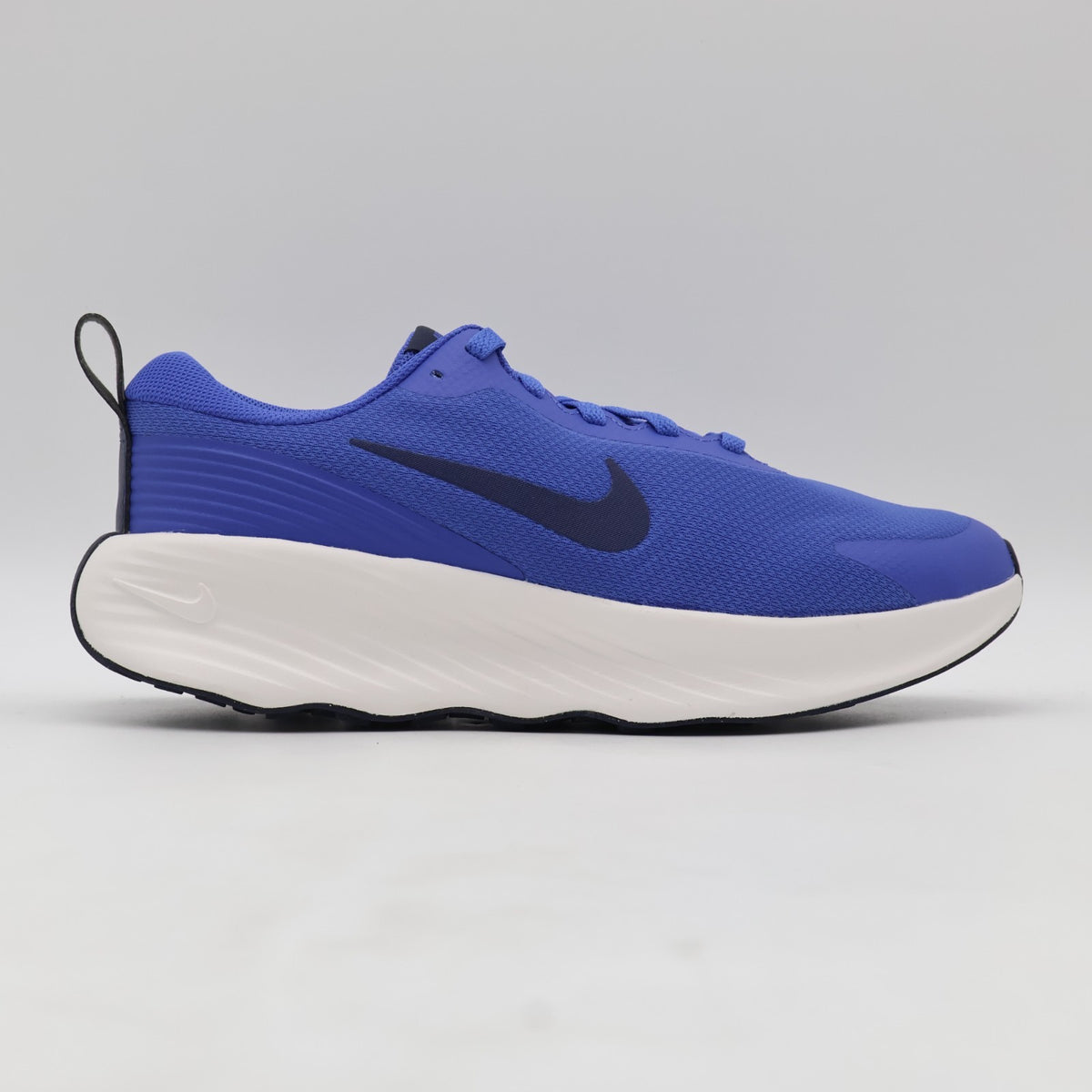 FV5285-401 Nike Promina Walking Shoes Comet Blue Summit White Midnight (Men's)