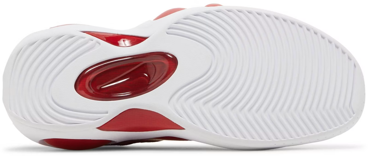 DX1165-100 Nike Air Zoom Flight 95 "True Red" (Men's)