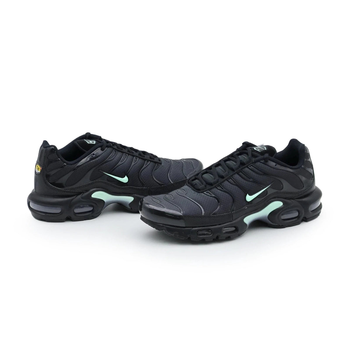 DM0032-029 Nike Air Max Plus Black Mint (Men's)
