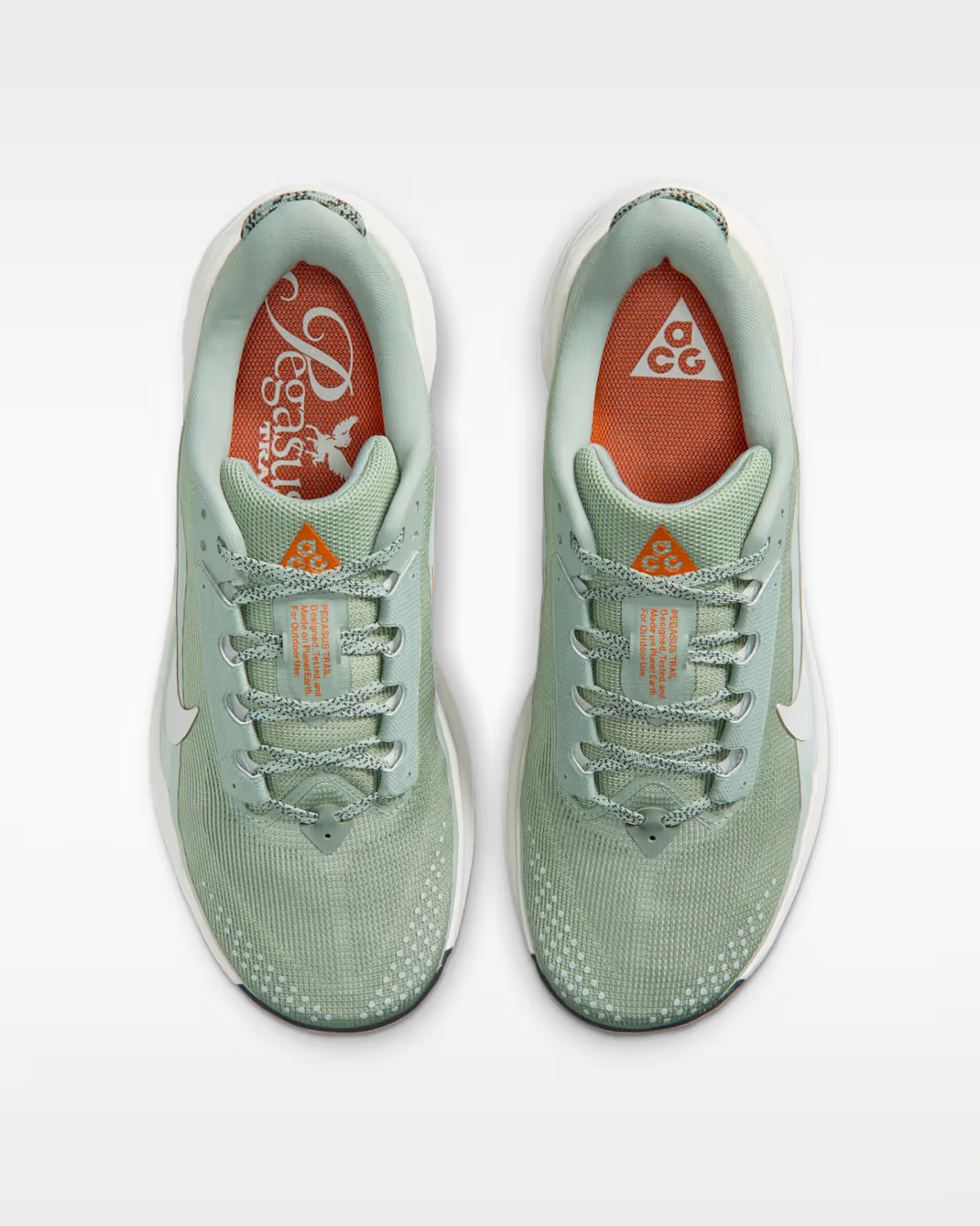 HV8116-310 Nike ACG Pegasus Trail Jade Horizon Light Silver (Men's)