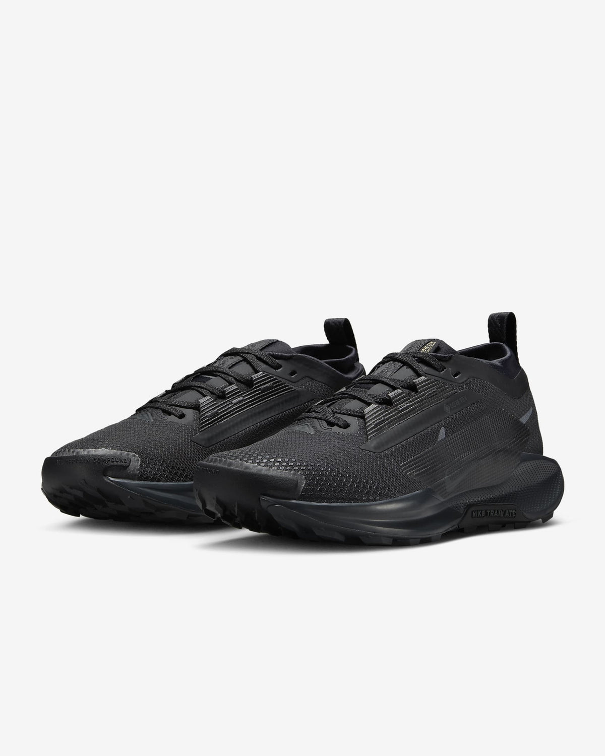 FQ0912-002 Nike Pegasus Trail 5 GORE-TEX Black Anthracite (Women's)
