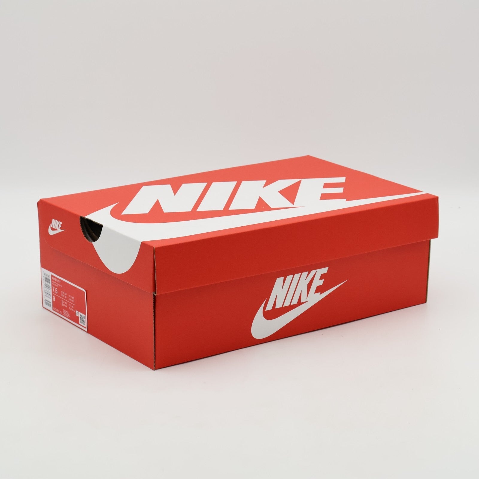 FZ3863-202 Nike C1TY Desert Khaki Black Parachute Beige (Men's)
