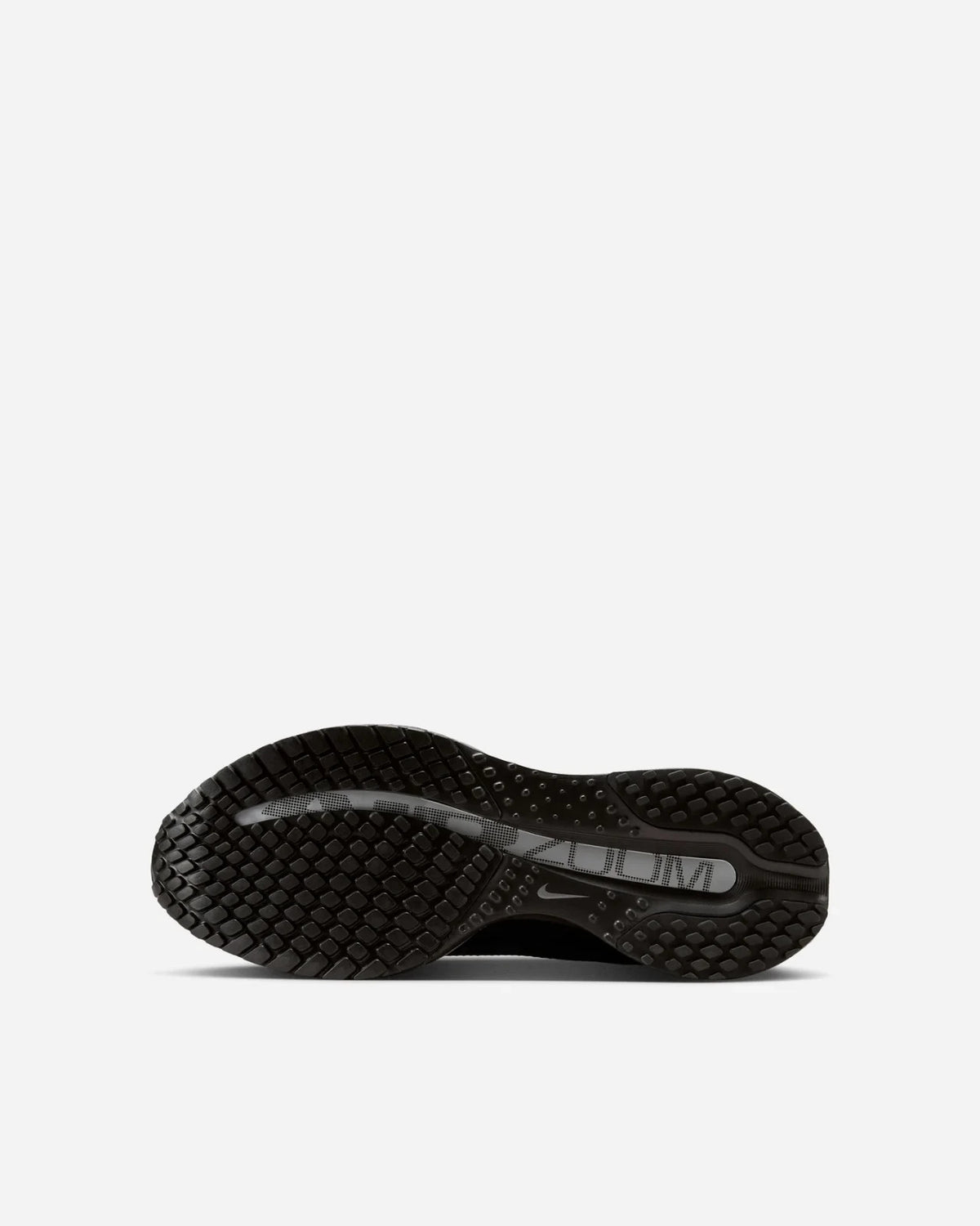 HQ2593-004 Nike Women's Pegasus PRM Black Metallic Silver (Women's)