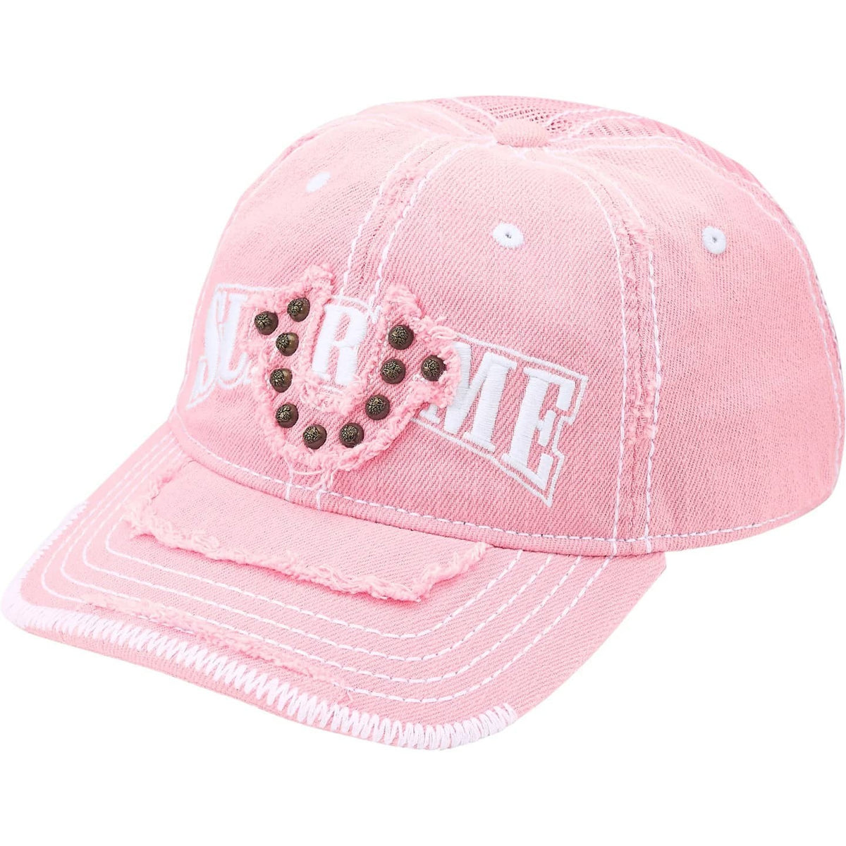 Supreme True Religion Mesh Back 6-Panel Pink