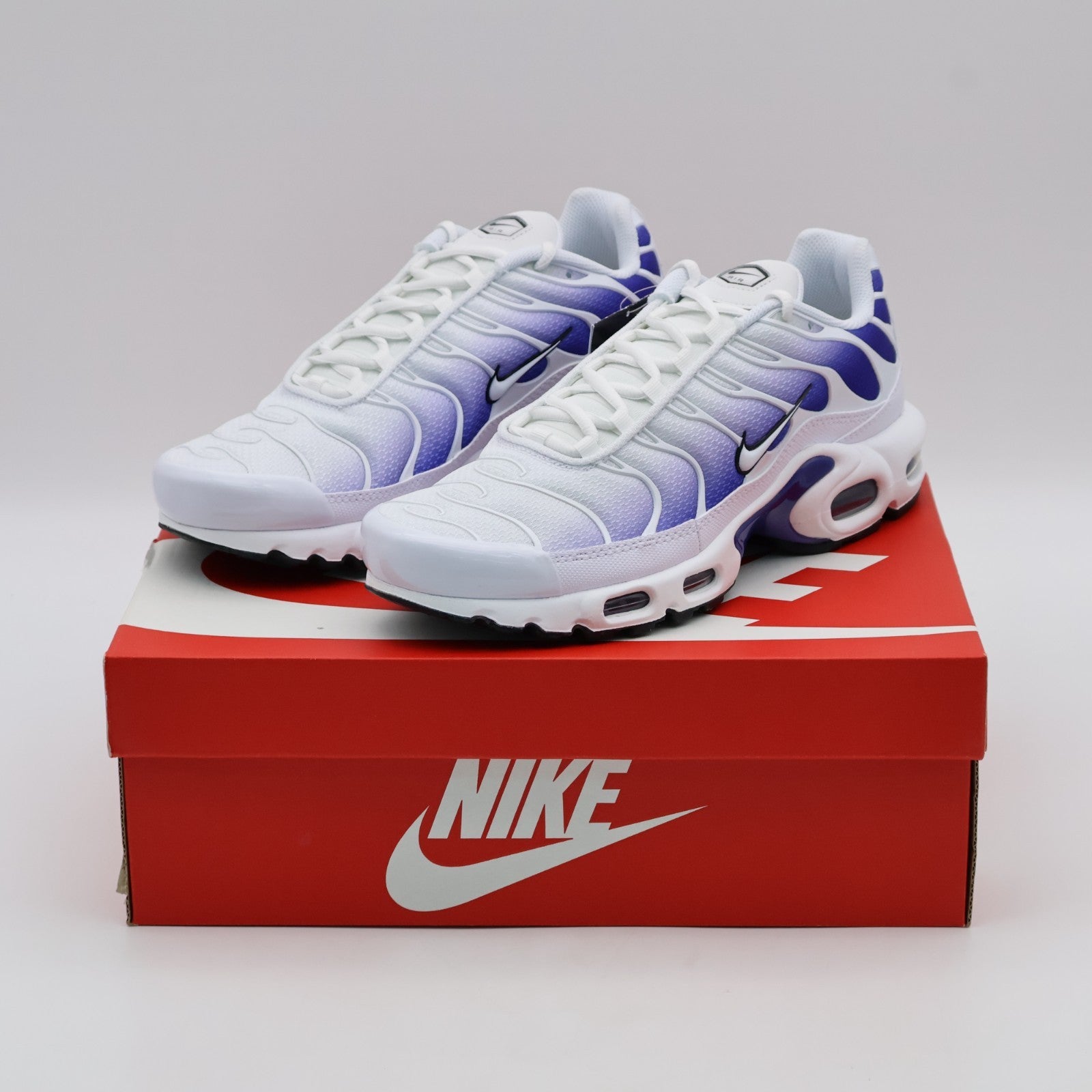 DM0032-105 Nike Air Max Plus Wild Grape (Men's)