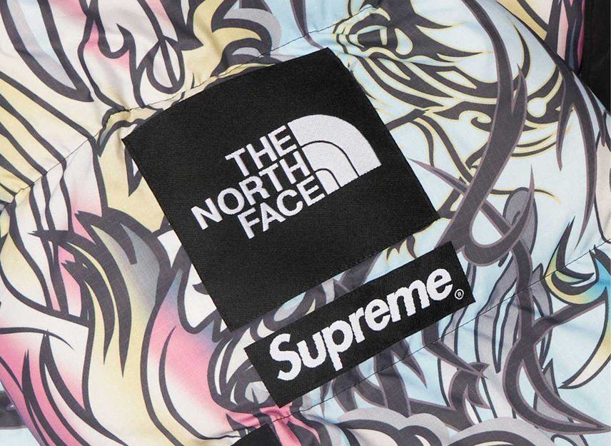 Supreme The North Face 700-Fill Down Parka Multicolor Dragon