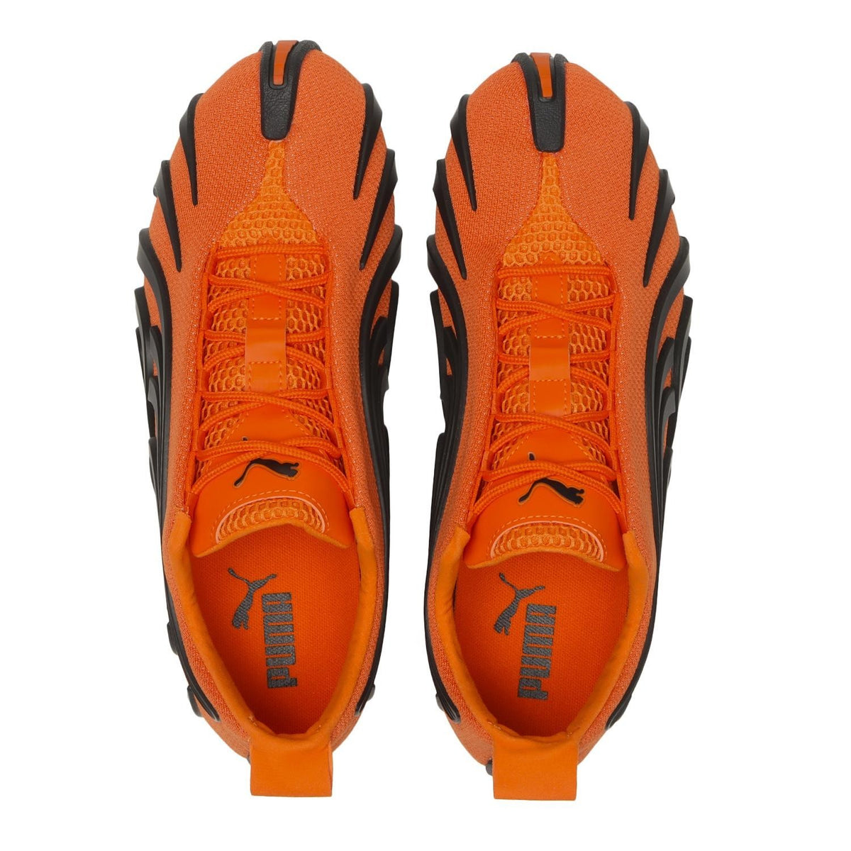 402955-02 Puma Talon OG Cayenne Pepper (Men's)