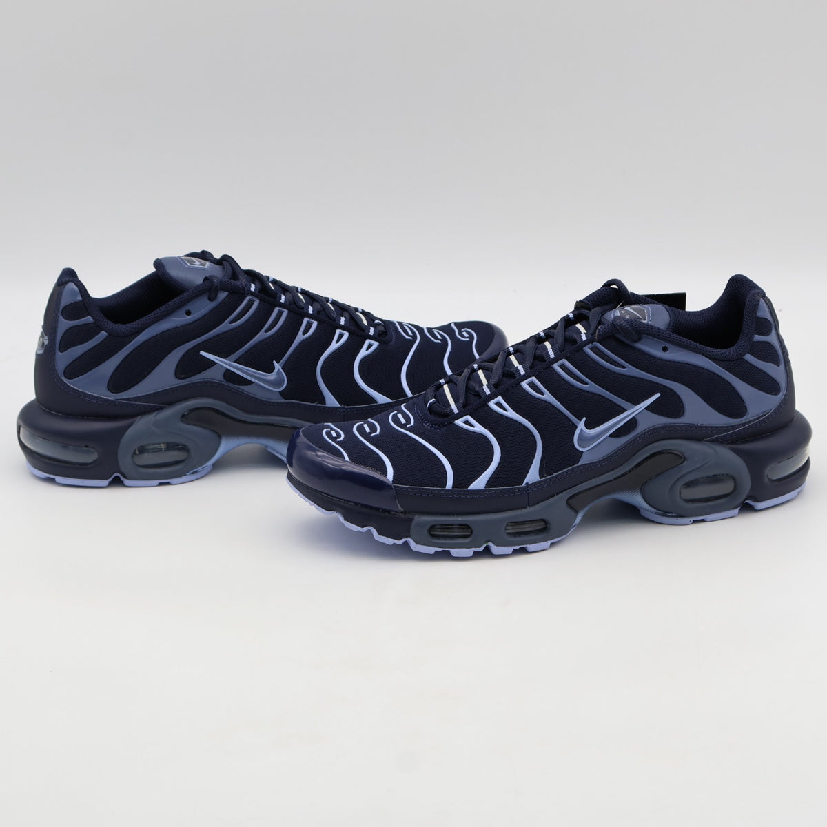 IM6601-451 Nike Air Max Plus Obsidian Aluminum Diffused Blue (Men's)