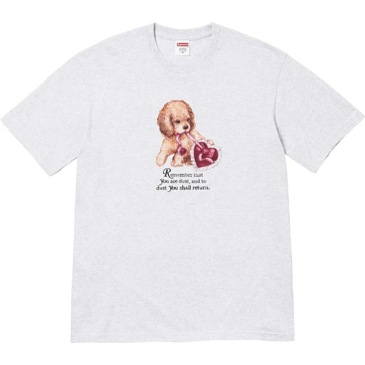Supreme Dust Tee Ash Grey